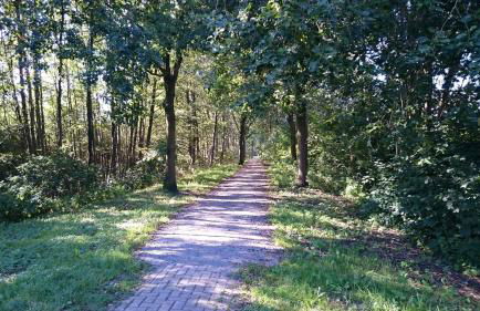 Ferienwohnung Am See 2 - Foto 18