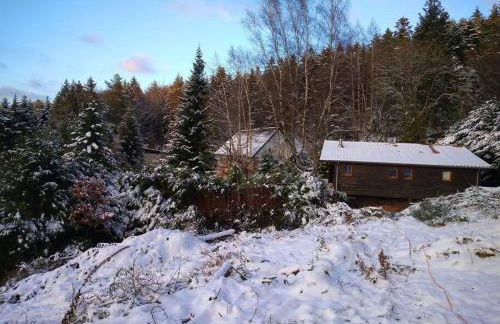 Le gîte du Männele - Into my Hardt - Photo 2