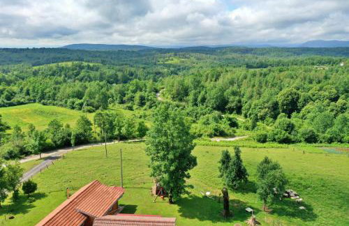 Natura hause - Foto 28