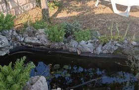 Charming village house with pool - Photo 4