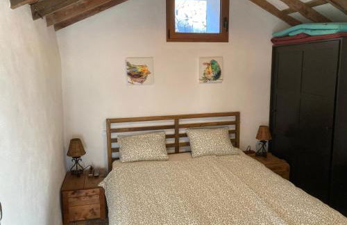 Bodega Linda - Foto 10