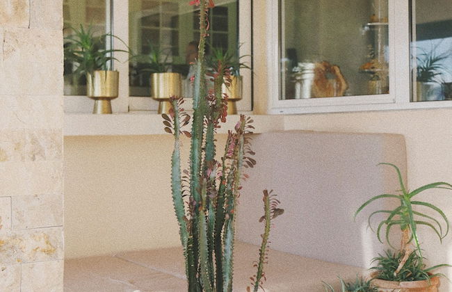 Mahakala Center - Foto 64