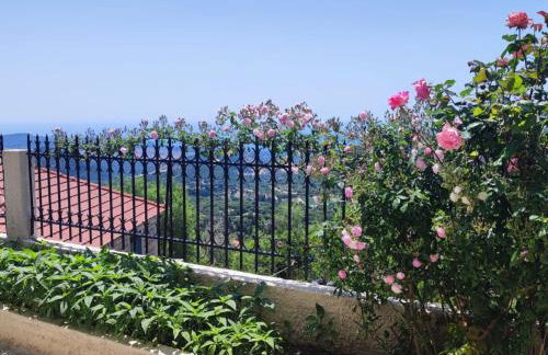 Fioravante - Foto 50