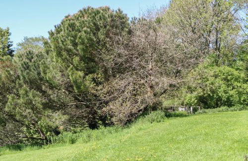 Little Barton - Foto 16