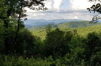 Hike, Fish and Golf! Serene Mtn Retreat in Glenville - Foto 43