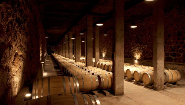 Barrels in the Benegas winery