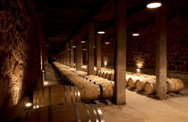 Tour privato delle cantine di Maipú - Foto 4