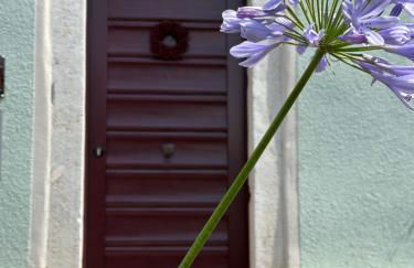 Zu Gast im Jurahaus - Foto 8