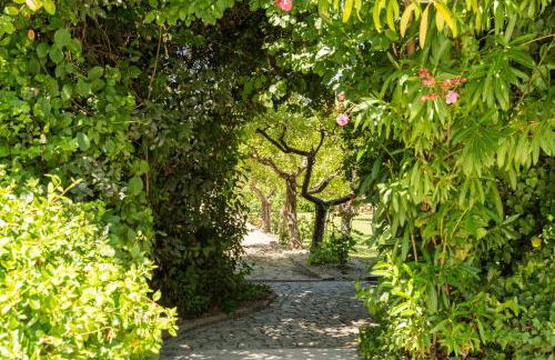 Casa da Concha - Foto 54