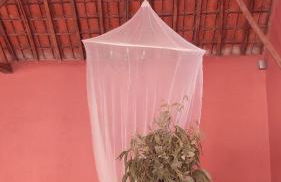 Casa da Mata - Foto 61