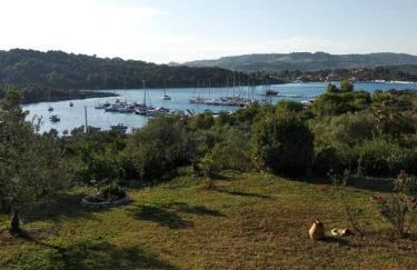 Ases Villa Lagonisi Halkidiki - Foto 47