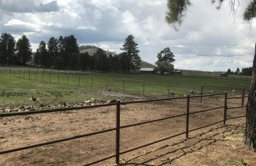 Grand Canyon Cottage at Historic Wrigley Ranch with Horseback Riding & Hiking - Foto 22