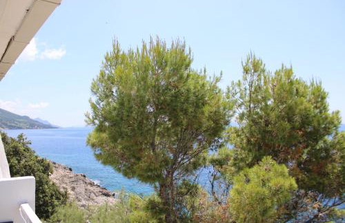 Robinson Lovorka - Foto 71