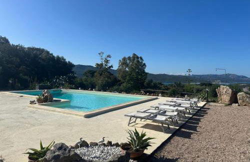 Casa Mariposa Porto Rotondo - Photo 12