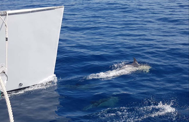 Giro in catamarano da Puerto del Carmen al tramonto - Foto 2