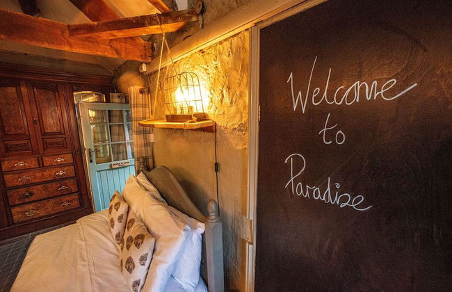 High Paradise Farm - Foto 16