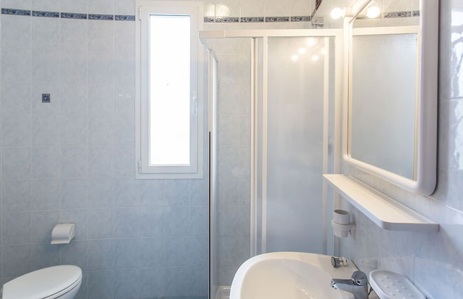 Calycanthus - Foto 32