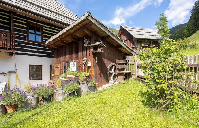 Holiday Home in Bad Kleinkirchheim - Photo 30