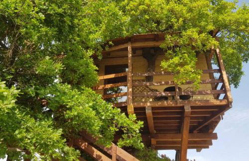Casa sull'Albero Treehouse Costa dei Trabocchi - Foto 10