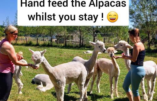 Double Decker Bus on an Alpaca Farm Sleeps 8 - Foto 4