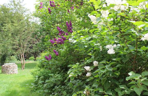 Ferienwohnung Sannhoff - Foto 13