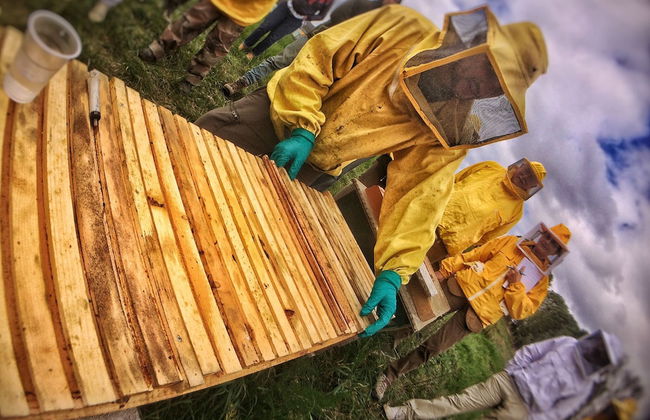 Fattoria Santa Vittoria Apartment Gazza - Foto 27