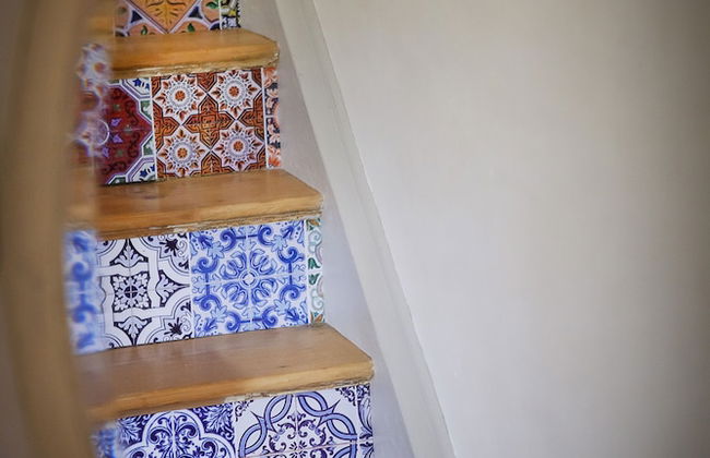 The Cherries - Photo 26