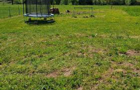 Nid Douillet des Forges - Maison 2 chambres, jardin & parking gratuit - Foto 34