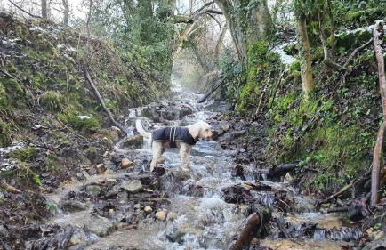 Stylish Town Centre Apartments - Foto 54