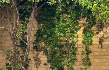 Camden apartments - Foto 34