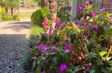 Casa agradável, próximo a Gramado - Foto 10