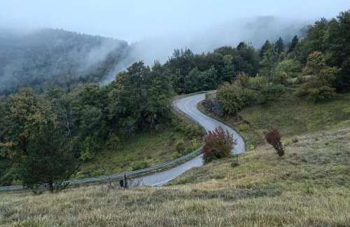 Kuća za odmor Dangubica - Photo 42
