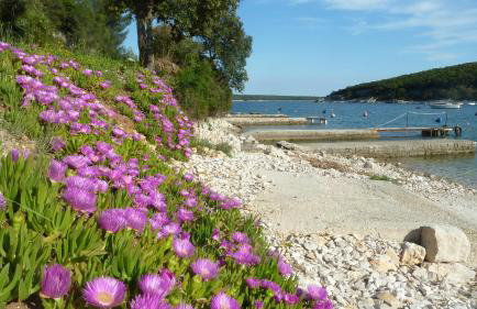 House Meli - Photo 45