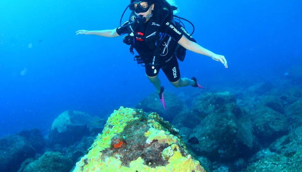 Aprendiendo a bucear