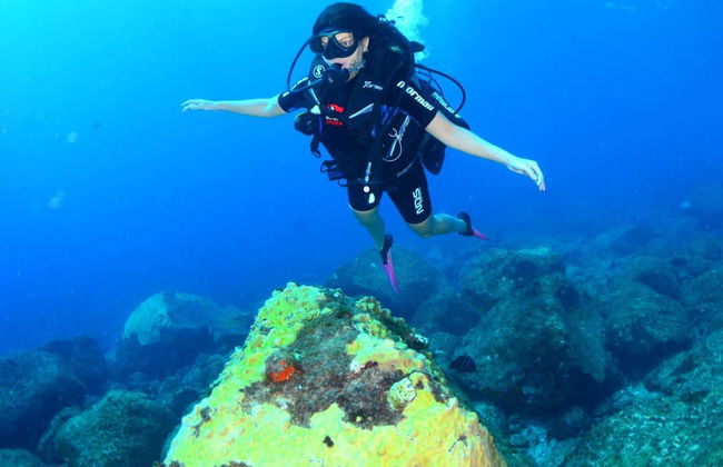 Baptême de plongée à Fernando de Noronha - Photo 6