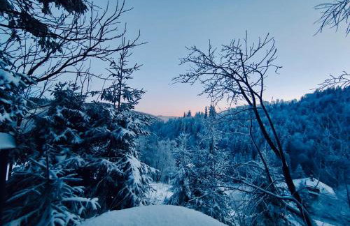 Chata w Szczyrku sauna & balia - Foto 61