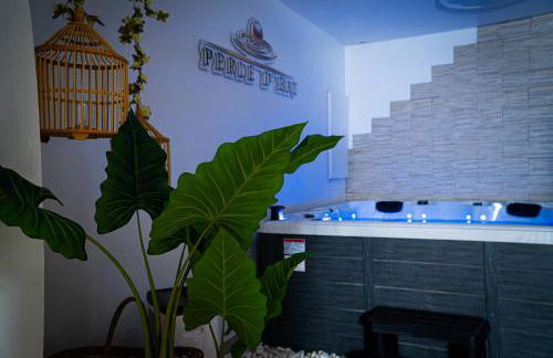 Perle d'eau-Love Room-Jacuzzi-Sauna-Proche Montbéliard et Belfort - Foto 56