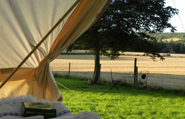 Cosy 5m Bell Tent Glamping in Rural Herefordshire - Foto 10