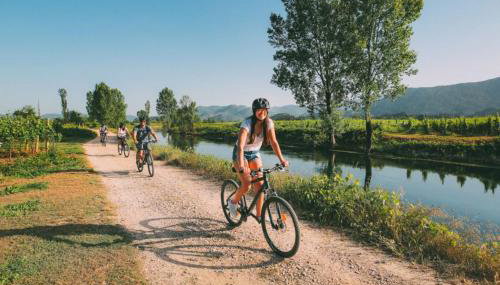 Apartman Maslina - Foto 3