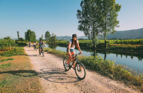 Apartman Maslina - Foto 3