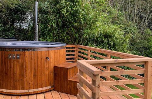 3 Bed in Llandysul oc-90019 - Photo 4