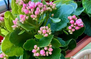 Spacious Duplex Flat West London for Families & Groups - Foto 48