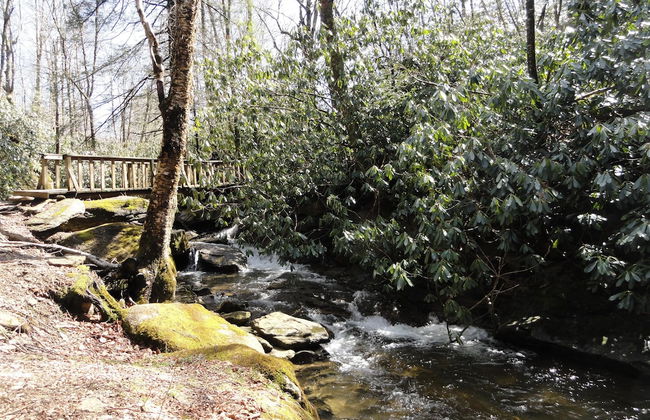 VCI - Elderberry Overlook - Foto 22