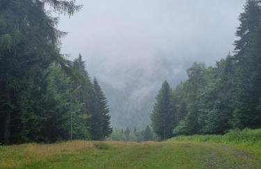 Przytulne Apartamenciki tuż przy Termach i Parku, nieopodal szlak na Turbacz, GPN, KGP - Foto 77