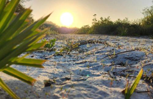 Spacious 6BR Pool Home in Ocala - Foto 16