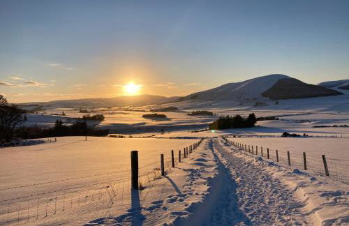 Woodside Steading - Photo 19