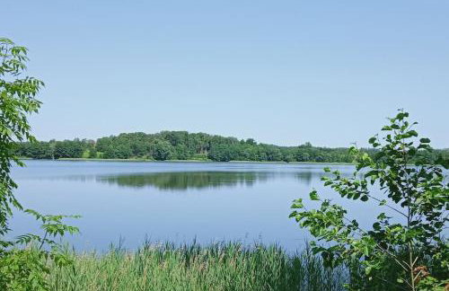 Dom Podróżnika -aktywne wakacje - Foto 9