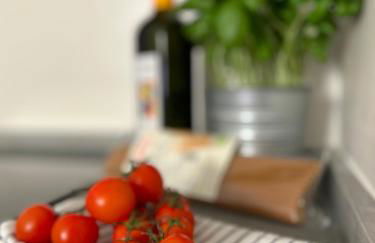 Agave Marina - Foto 22