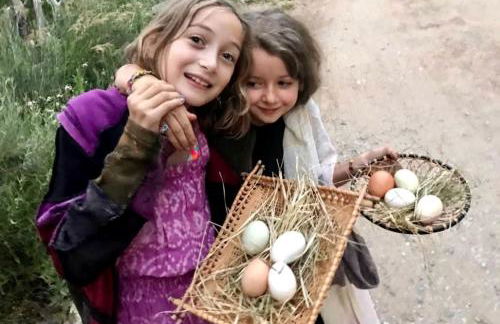 Studio Cabin Suite on Organic Farm Stay near Taos, New Mexico - Foto 37