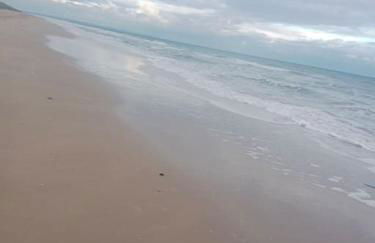 La Salicorne, maison d'hôtes. - Photo 28